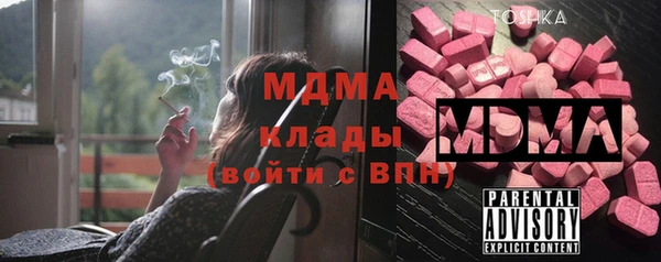 хмурый Алексин