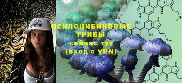хмурый Алексин