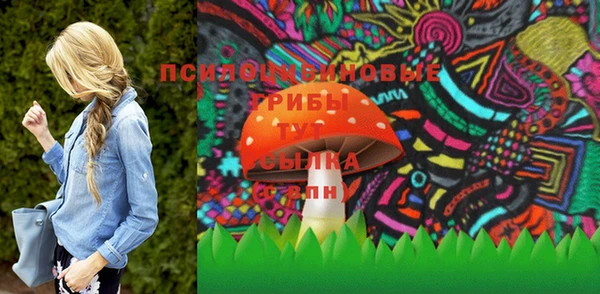 a pvp Абаза