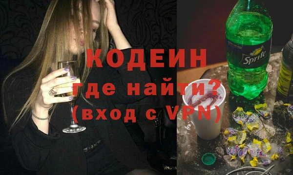 хмурый Алексин